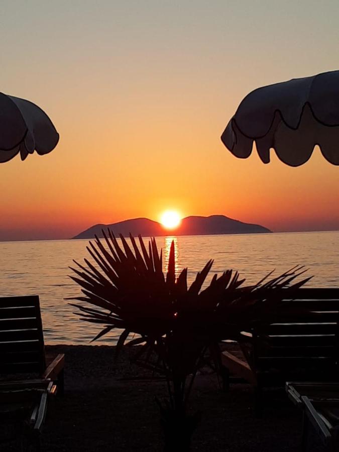 Palmanova Beach Mardok Kanine 外观 照片